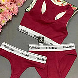 Комплект женского спортивного белья 3 в1 Calvin Klein бордовый / Комплект "ТРОЙКА", фото 2