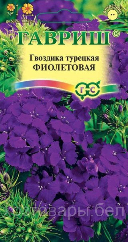 Гвоздика турецкая Фиолетовая 0,1г (Гавриш)