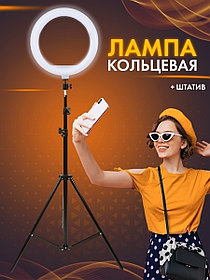 Кольцевая лампа 26 см со штативом 220см и пультом | LED Ring Fill Light