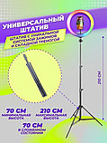 Кольцевая лампа 26 см RGB LED со штативом 220 см и пультом (Светодиодная лампа для селфи), фото 6