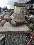 Скульптура "Черепаха морская", фото 6