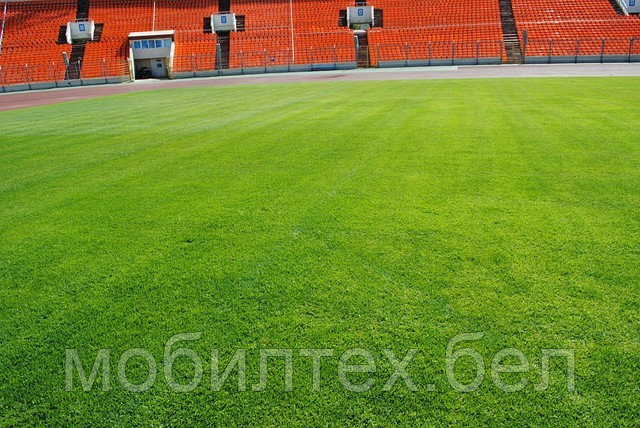 Трава газонная Спортивная, 10кг - фото 2 - id-p990047