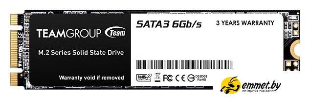 SSD Team MS30 256GB TM8PS7256G0C101 - фото 1 - id-p202557999