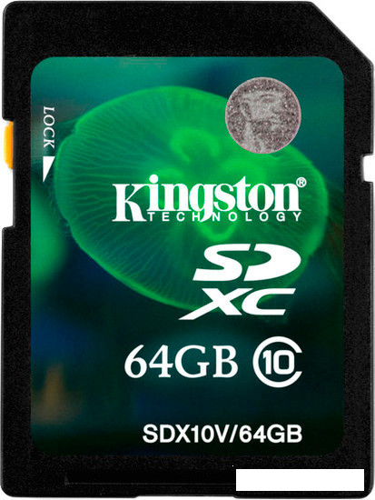 Карта памяти Kingston SDXC (Class 10) 64GB (SDX10V/64GB) - фото 1 - id-p202568211
