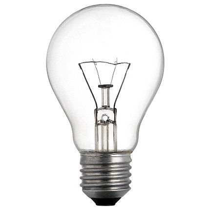 Лампа накаливания 60W E27 Б230-60-6 BELSVET (154 шт/уп), фото 2