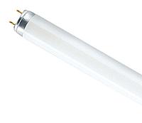 Лампа линейная люминесцентная ЛЛ 36W/765 T8/G13 
Osram