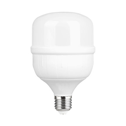 Лампа светодиодная 30W T100 6500K E27/E40 BELSVET, фото 2