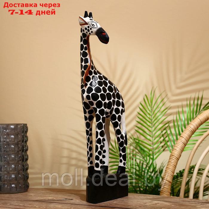 Сувенир "Жирафик" албезия 16х10х50 см