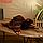Сувенир "Черепаха" албезия 50х40х20 см, фото 2