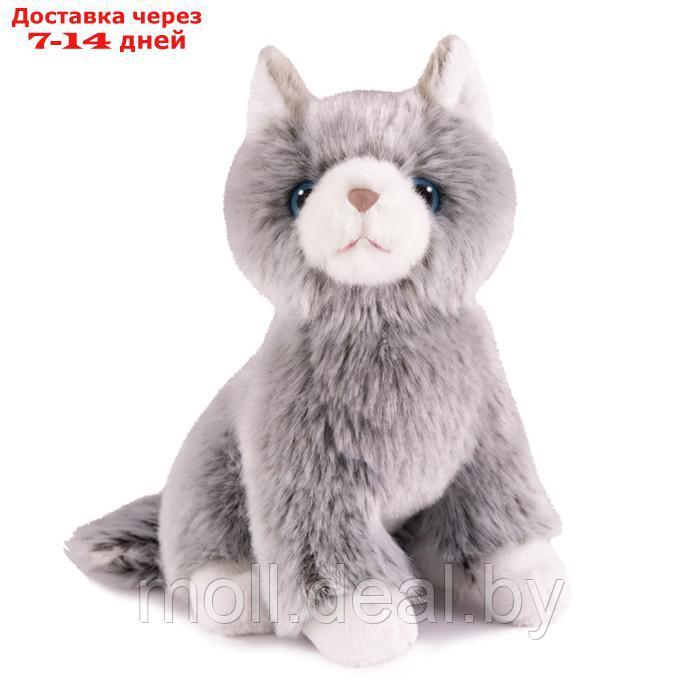 Мягкая игрушка "Котик сибирский", 20 см MT-TSC2128-21-20