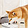 Поилка для животных Kitten&Puppy Pet Water Dispenser MG-WF001 (Международная версия), фото 5