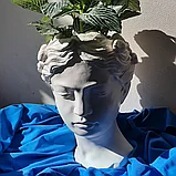 Подарок оригинальный  ваза-кашпо "Венера", фото 2