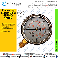 Манометр радиальный 63R160-1/4GLY