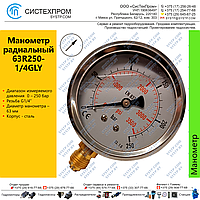 Манометр радиальный 63R250-1/4GLY