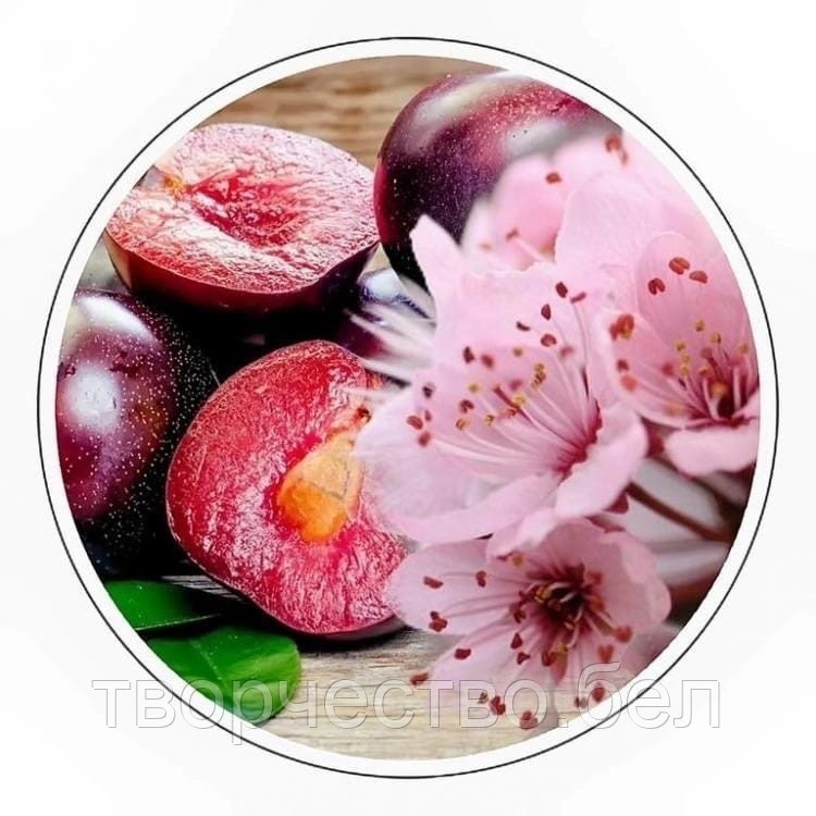 Ароматизатор Кема Слива и сакура (Plum Sakura), 30 гр