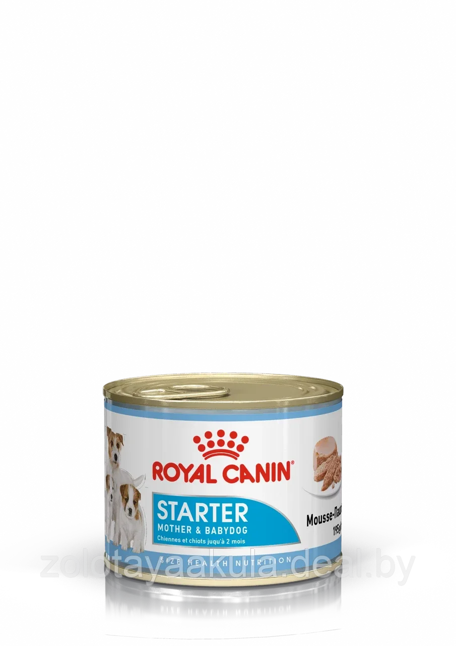 195гр Консервы ROYAL CANIN Starter Mother & Babydog Мусс для беременных и кормящих собак, и щенков до 2-х - фото 1 - id-p202714639