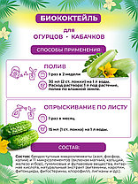 БИОкоктейль для огурцов и кабачков ТМ БИОША, 1л, фото 3