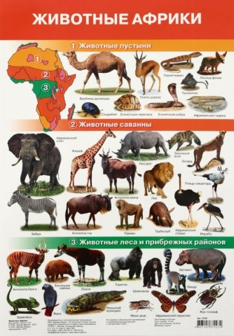 Плакат развивающий «Дрофа Медиа» «Животные Африки» - фото 1 - id-p202729761