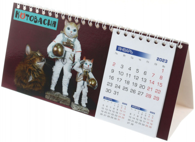 Календарь настольный перекидной на 2023 год «Домик. Котовасия» 210*135 мм - фото 2 - id-p202732737
