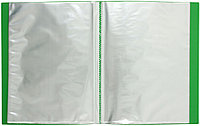 Папка пластиковая на 40 файлов Berlingo Standart толщина пластика 0,6 мм, зеленая