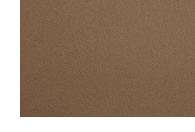 Бумага цветная для пастели двусторонняя Murano 500*650 мм, 160 г/м2, кофе - фото 1 - id-p202728759