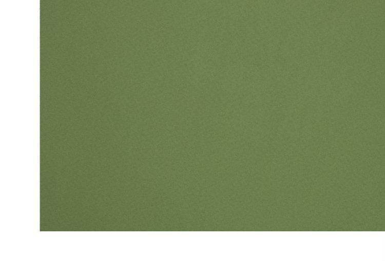 Бумага цветная для пастели двусторонняя Murano 500*650 мм, 160 г/м2, зеленый мох - фото 1 - id-p202728761