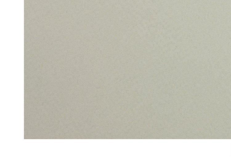 Бумага цветная для пастели двусторонняя Murano 500*650 мм, 160 г/м2, платина - фото 1 - id-p202728764