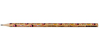 Карандаш чернографитный Lorex V-Type твердость грифеля ТМ, без ластика, с декоративным наконечником, Eve