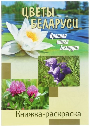 Книжка-раскраска А4, 8 л., «Цветы Беларуси» - фото 2 - id-p202729639