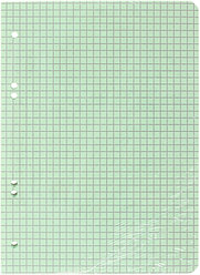 Сменный блок для тетради на кольцах «Полиграф Принт» 50 л., клетка, зеленый