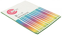 Бумага офисная цветная Color Code Intensive А4 (210*297 мм), 80 г/м2, 50 л., зеленая