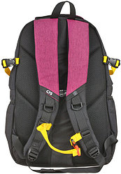 Рюкзак молодежный CFS 19,5" 460*310*140 мм, черно-розовый
