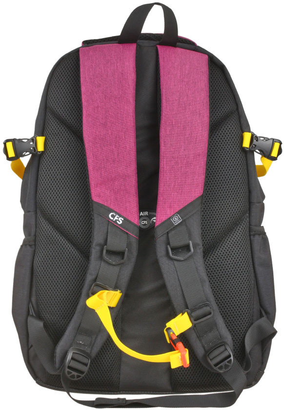 Рюкзак молодежный CFS 19,5" 460*310*140 мм, черно-розовый - фото 1 - id-p202730591