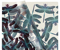Папка-уголок пластиковая ErichKrause (с рисунком) толщина пластика 0,16 мм, Neon Dragonflies