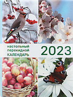 Календарь настольный перекидной на 2023 год «Типография Победа» 100*140 мм