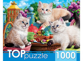 TOPpuzzle. ПАЗЛЫ 1000 элементов. Котята и чаепитие, арт. ХТП1000-2157