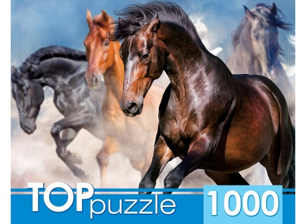 TOPpuzzle. ПАЗЛЫ 1000 элементов. ГИТП1000-2147 Табун скакунов