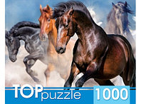 TOPpuzzle. ПАЗЛЫ 1000 элементов. ГИТП1000-2147 Табун скакунов
