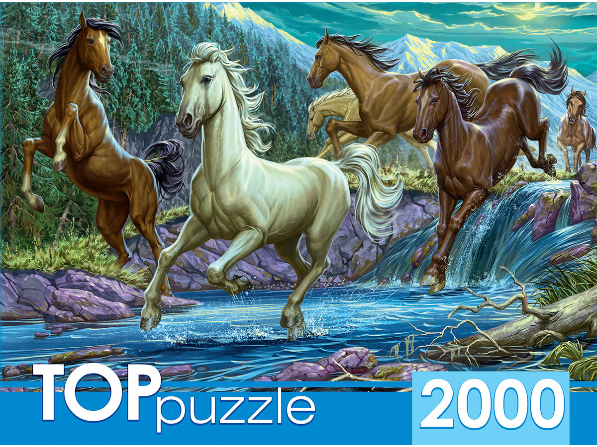 TOPpuzzle. ПАЗЛЫ 2000 элементов. ХТП2000-1594 Ночной табун лошадей