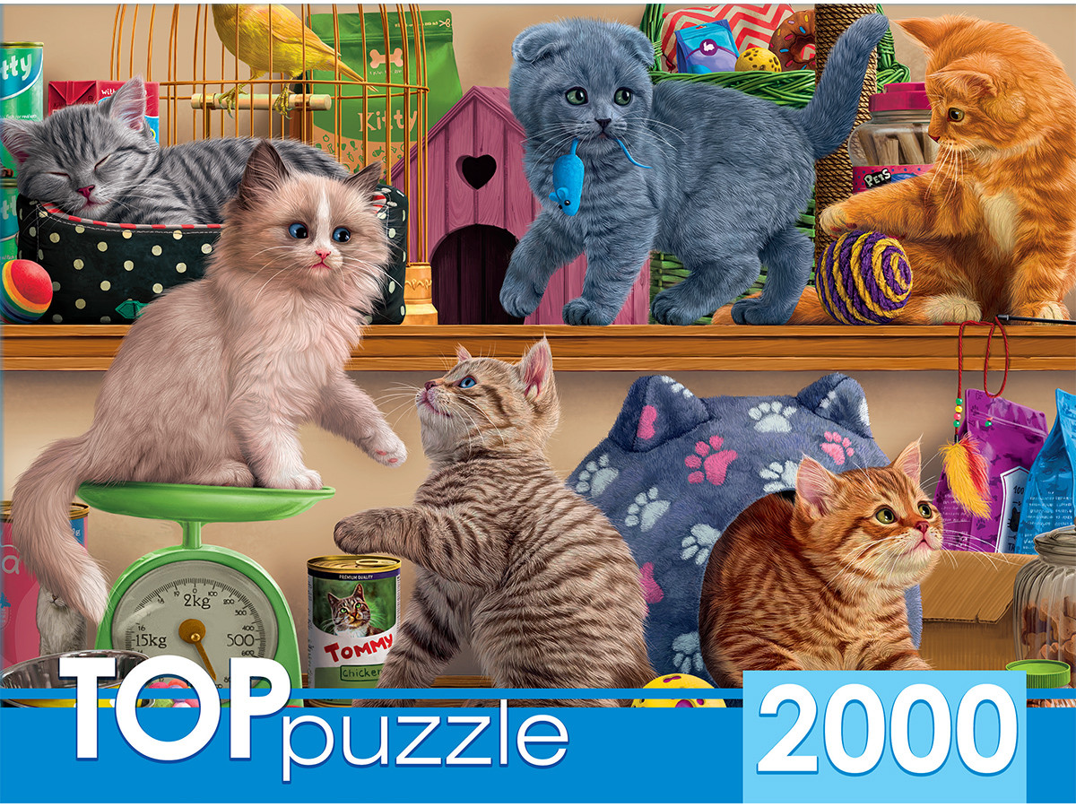 TOPpuzzle. ПАЗЛЫ 2000 элементов. Смешные котята в зоомагазине, арт. ХТП2000-1596