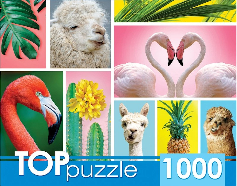 TOPpuzzle. ПАЗЛЫ 1000 элементов. Модный коллаж, арт. ГИТП1000-4137