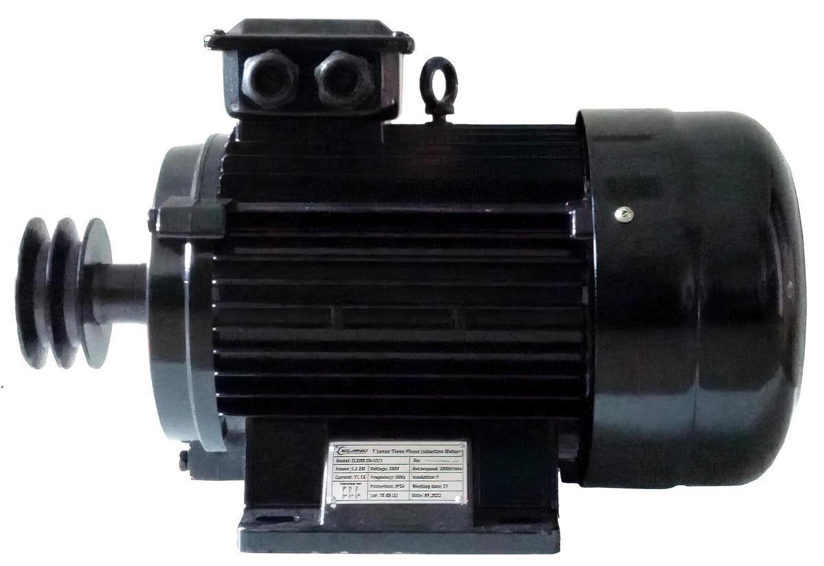 Двигатель для компрессора EN-55/3 - фото 2 - id-p202751123