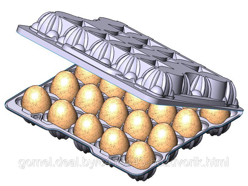 Контейнер для перепелиных яиц 2