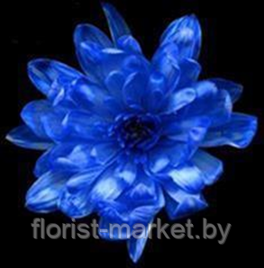 Краска для живых цветов, небесно-голубой, 300 мл, № 4 - фото 1 - id-p202833524