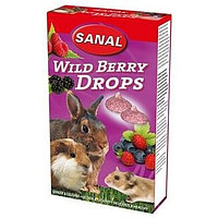 Лакомство-витамины SANAL Дропсы для грызунов дикие ягоды 45гр