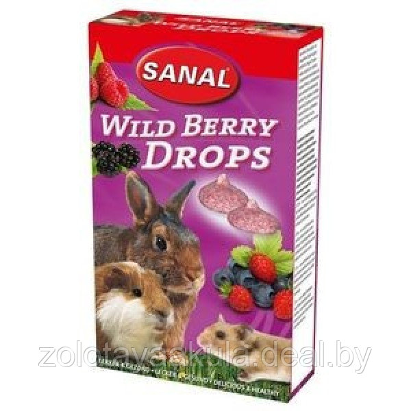 Лакомство-витамины SANAL Дропсы для грызунов дикие ягоды 45гр - фото 1 - id-p202840097