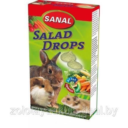 Sanal Лакомство-витамины SANAL Дропсы для грызунов Овощи 45гр - фото 1 - id-p202840099