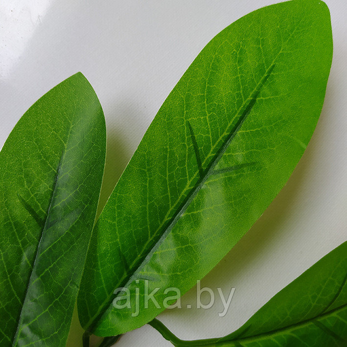 Ветка с листьями Манго 50 см, латекс - фото 3 - id-p202851304