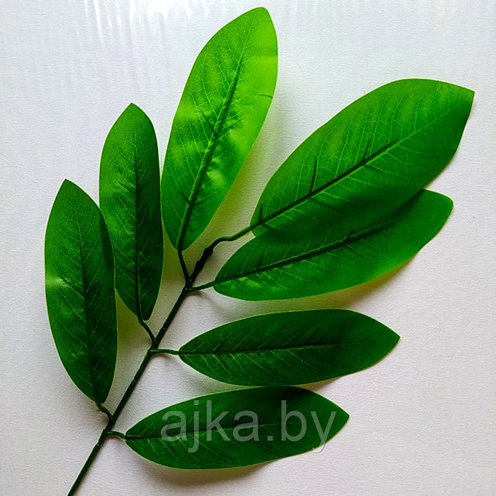 Ветка с листьями Манго 50 см, латекс - фото 1 - id-p202851304