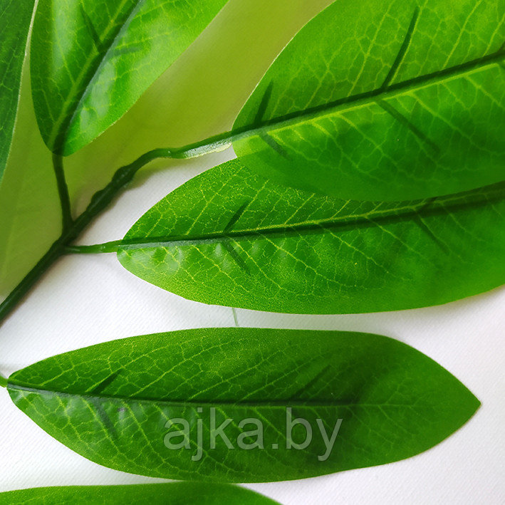 Ветка с листьями Манго 50 см, латекс - фото 2 - id-p202851304